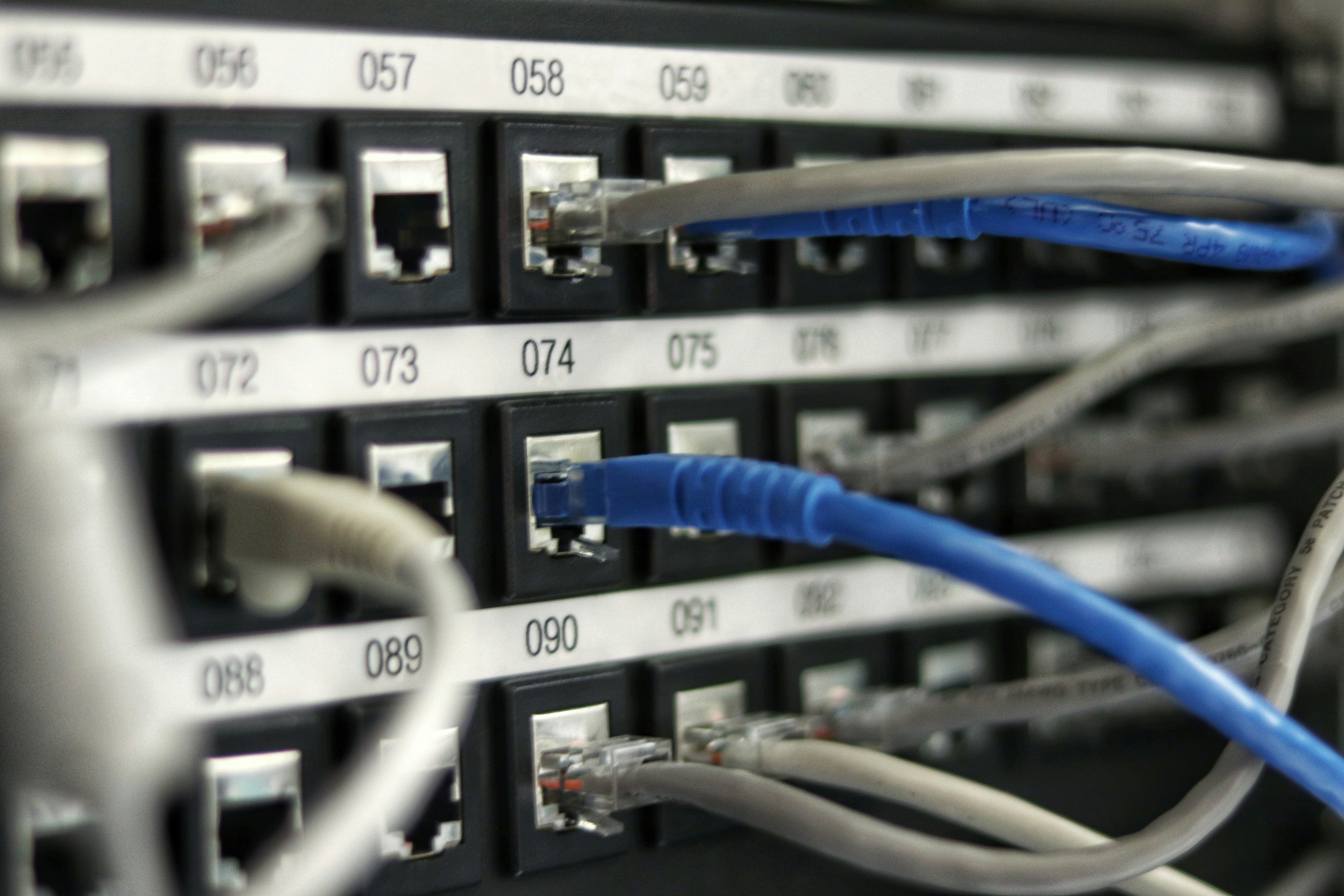 Close-up of a network switch with patched ethernet cables